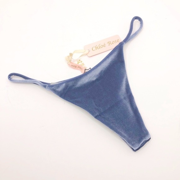 𝅺Chloe Rose Gray velvet bikini bottom - Picture 1 of 6